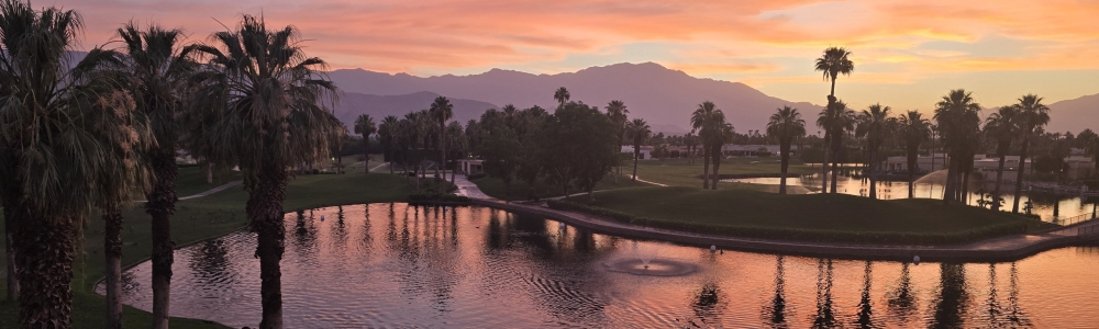 User banner image